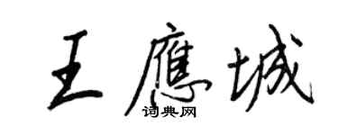 王正良王應城行書個性簽名怎么寫