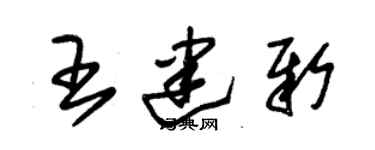 朱錫榮王建新草書個性簽名怎么寫