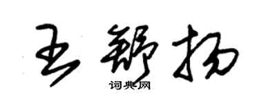 朱錫榮王舒揚草書個性簽名怎么寫