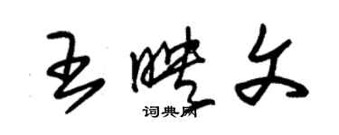 朱錫榮王映文草書個性簽名怎么寫