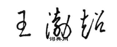 駱恆光王渤超草書個性簽名怎么寫