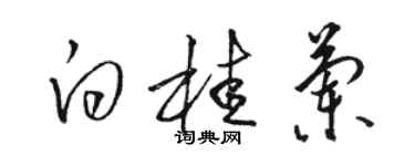 駱恆光白桂蘭草書個性簽名怎么寫