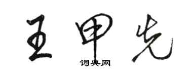 駱恆光王甲先行書個性簽名怎么寫