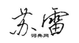 駱恆光蘇雷行書個性簽名怎么寫