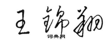 駱恆光王錦翔草書個性簽名怎么寫