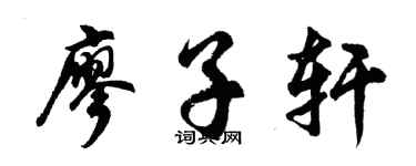 胡問遂廖子軒行書個性簽名怎么寫