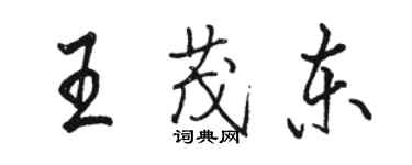 駱恆光王茂東行書個性簽名怎么寫