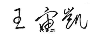 駱恆光王宙凱草書個性簽名怎么寫