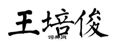 翁闓運王培俊楷書個性簽名怎么寫