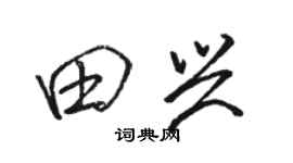 駱恆光田興行書個性簽名怎么寫