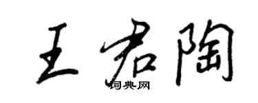 王正良王君陶行書個性簽名怎么寫