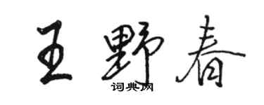 駱恆光王野春行書個性簽名怎么寫