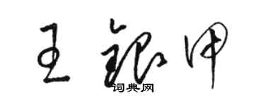 駱恆光王銀甲草書個性簽名怎么寫