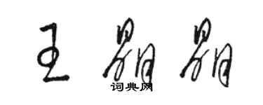 駱恆光王晶晶草書個性簽名怎么寫