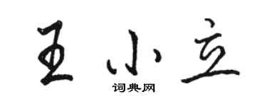 駱恆光王小立行書個性簽名怎么寫