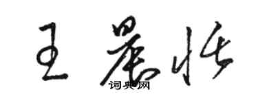 駱恆光王晨恬草書個性簽名怎么寫