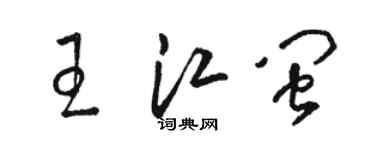駱恆光王江閩草書個性簽名怎么寫