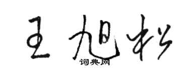 駱恆光王旭松草書個性簽名怎么寫