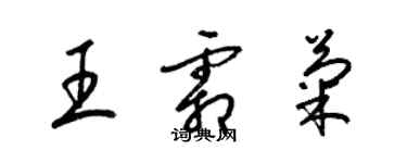 梁錦英王霜菊草書個性簽名怎么寫