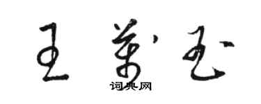 駱恆光王萬玉草書個性簽名怎么寫