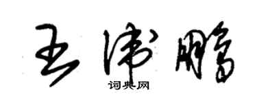 朱錫榮王衛鵬草書個性簽名怎么寫