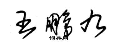 朱錫榮王鵬九草書個性簽名怎么寫