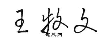 駱恆光王牧文草書個性簽名怎么寫