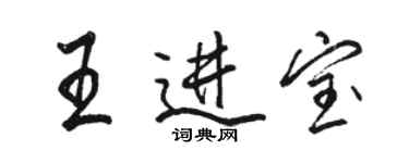 駱恆光王進寶行書個性簽名怎么寫