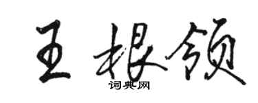 駱恆光王根領行書個性簽名怎么寫