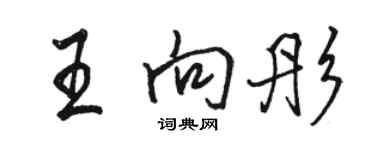 駱恆光王向彤行書個性簽名怎么寫