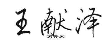 駱恆光王獻澤行書個性簽名怎么寫