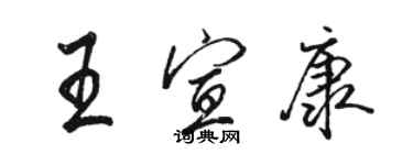 駱恆光王宣康行書個性簽名怎么寫