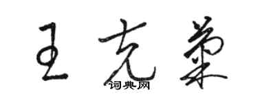 駱恆光王克菊草書個性簽名怎么寫