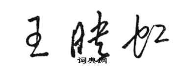 駱恆光王映虹草書個性簽名怎么寫