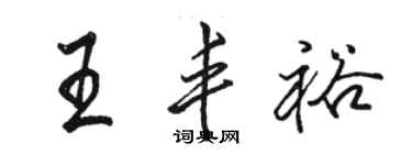 駱恆光王豐裕行書個性簽名怎么寫