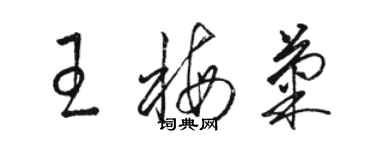 駱恆光王梅菊草書個性簽名怎么寫