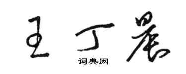 駱恆光王丁晨草書個性簽名怎么寫