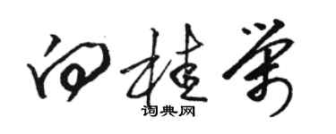 駱恆光向桂榮草書個性簽名怎么寫