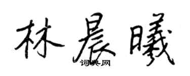 王正良林晨曦行書個性簽名怎么寫