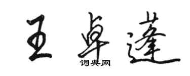 駱恆光王卓蓬行書個性簽名怎么寫