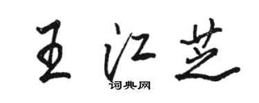 駱恆光王江芝行書個性簽名怎么寫