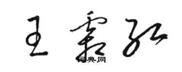 駱恆光王霜紅草書個性簽名怎么寫