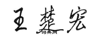 駱恆光王楚宏行書個性簽名怎么寫