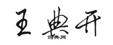 駱恆光王典開行書個性簽名怎么寫