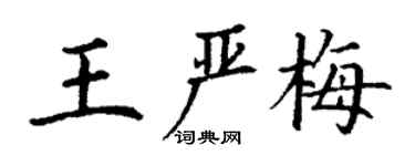 丁謙王嚴梅楷書個性簽名怎么寫