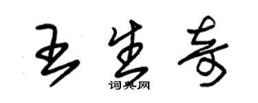 朱錫榮王生奇草書個性簽名怎么寫