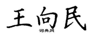 丁謙王向民楷書個性簽名怎么寫