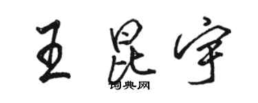 駱恆光王昆宇行書個性簽名怎么寫