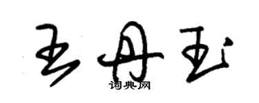 朱錫榮王丹玉草書個性簽名怎么寫