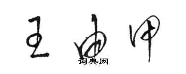 駱恆光王由甲草書個性簽名怎么寫